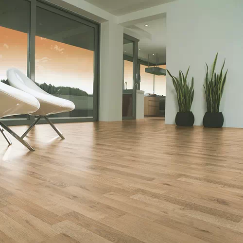 Ламинат Kaindl Classic Touch 32 класс Акация Кукурузный шелк MO 4V арт.35063