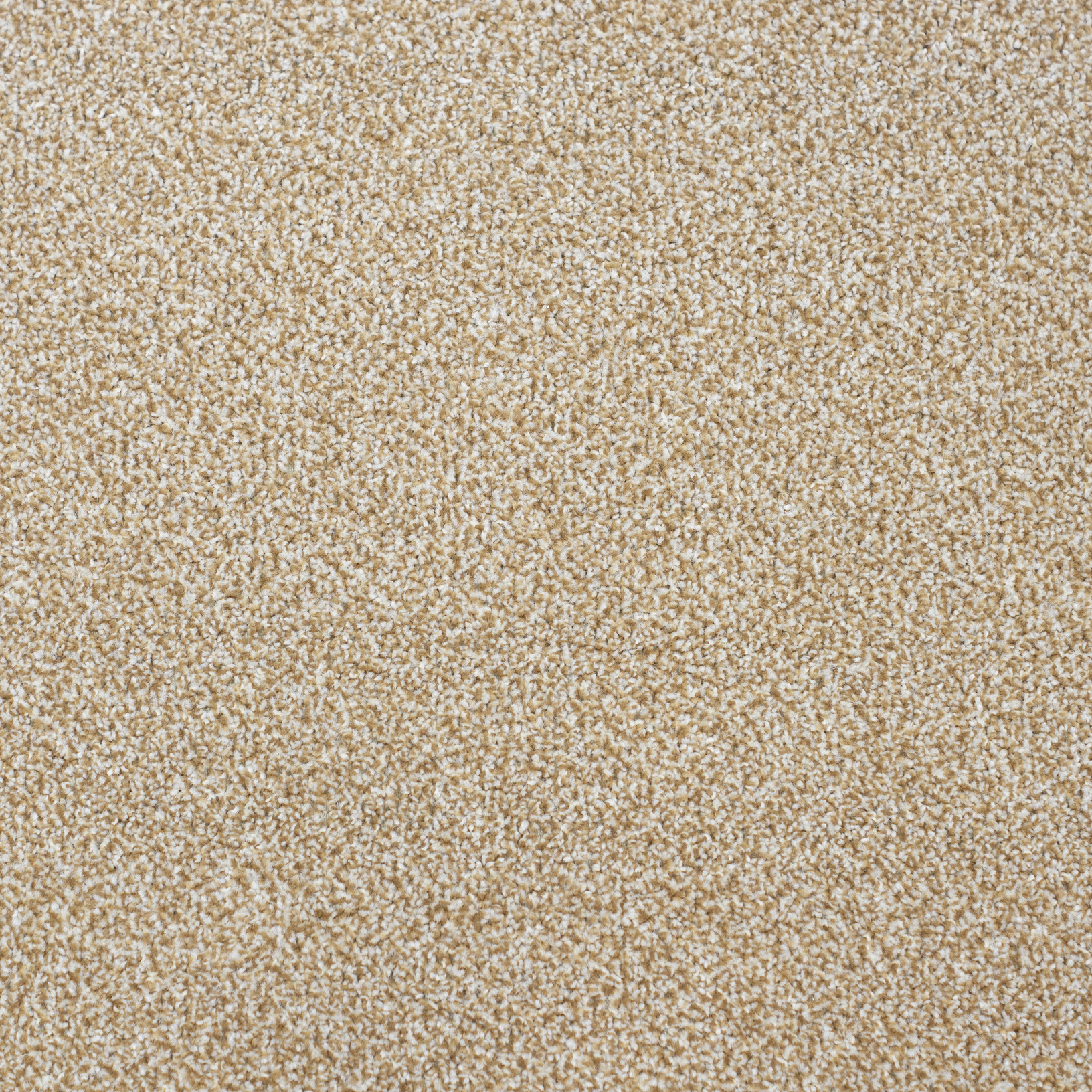 Ковролин Зартекс Лотос 46 Карамельный (3м)