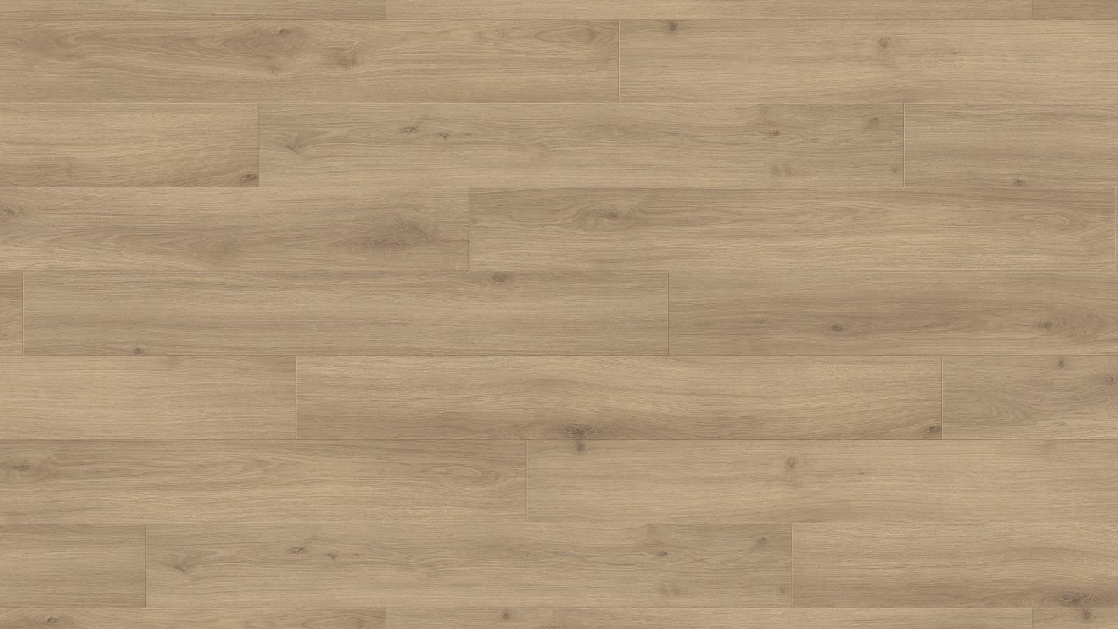 Ламинат Haro Tritty 100 Дуб Эмилия Пуро 32 класс арт.538691